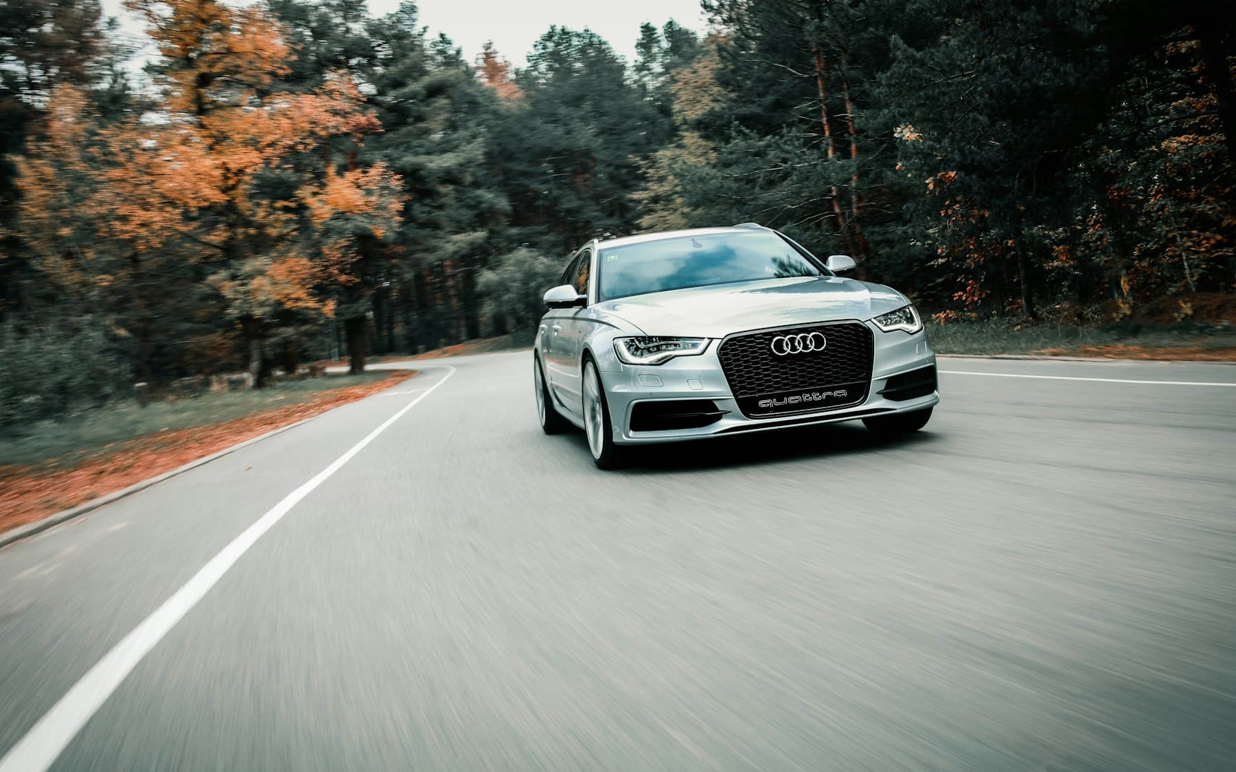 Audi RS 5 Sportback en carretera entre árboles de otoño